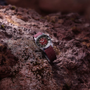 the-longines-legend-diver-watch-l3-374-4-40-2-_576472be-cd99-4805-946c-c4dd287d54d9.png