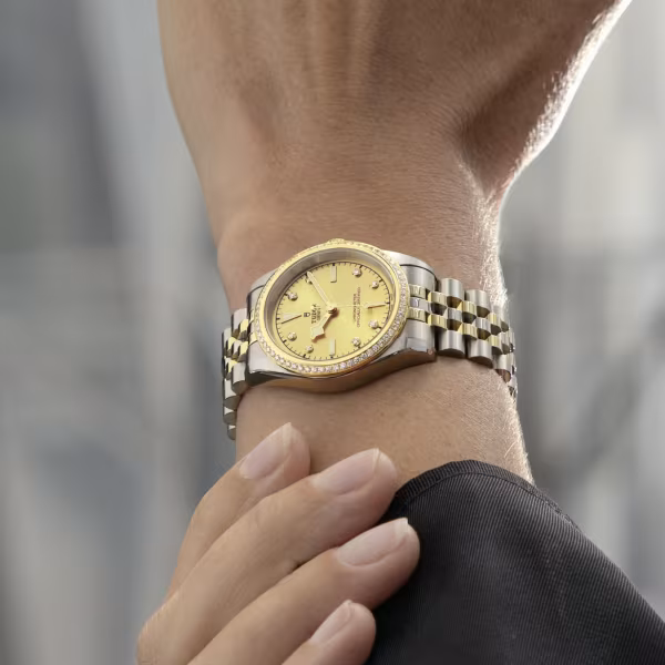 tudor-m79653-00072_5a656fd1-540a-4858-8132-3c1a8ee903e1.png
