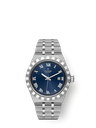 Tudor Royal