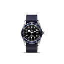 Black Bay 41