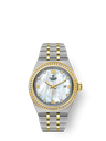 Tudor Royal 28mm