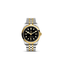BLACK BAY 36 S&G