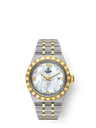 Tudor Royal 28mm