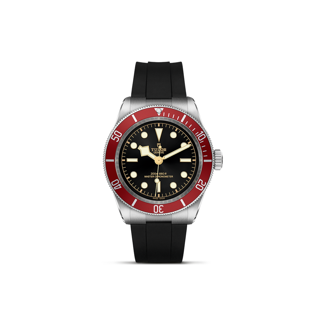 Black Bay 41