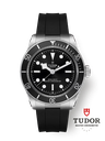 Black Bay 41