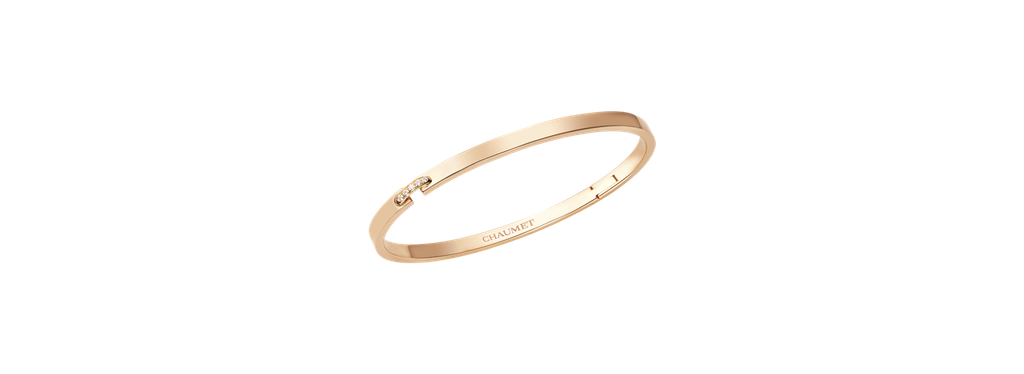 Liens Evidence bracelet