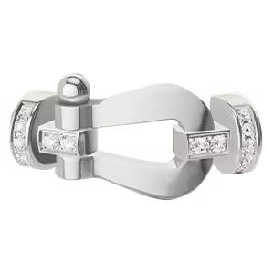 Force 10 buckle