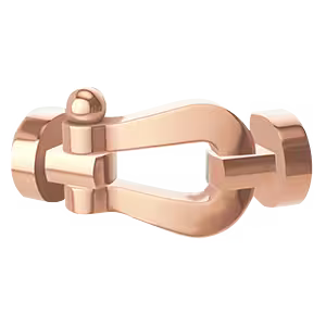 Force 10 buckle