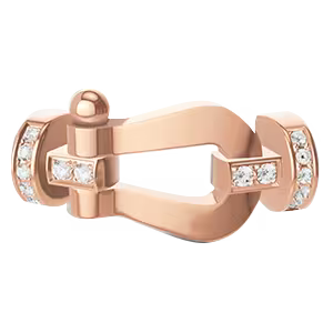 Force 10 buckle