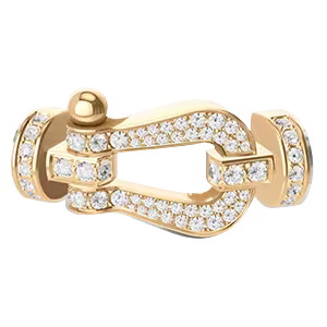 Force 10 buckle