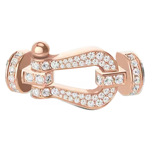 Force 10 buckle