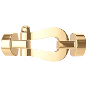 Force 10 buckle