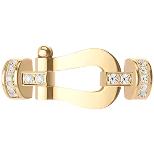 Force 10 buckle