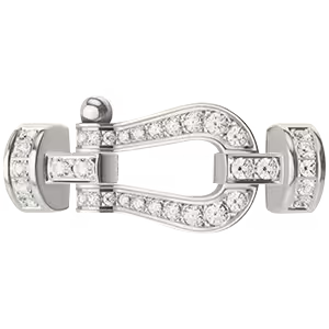 Force 10 buckle