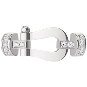 Force 10 buckle