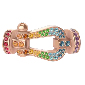 Force 10 buckle