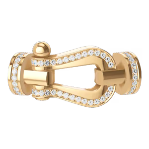 Force 10 buckle large