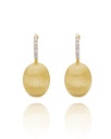 Dancing Elite earrings