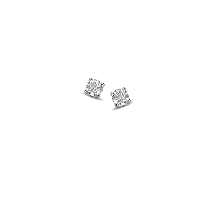 White Gold Stud Earrings