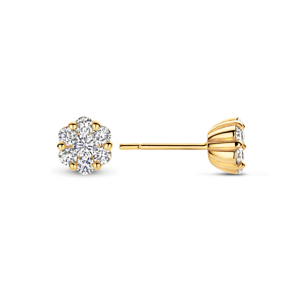Stud Earrings