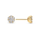 Stud Earrings