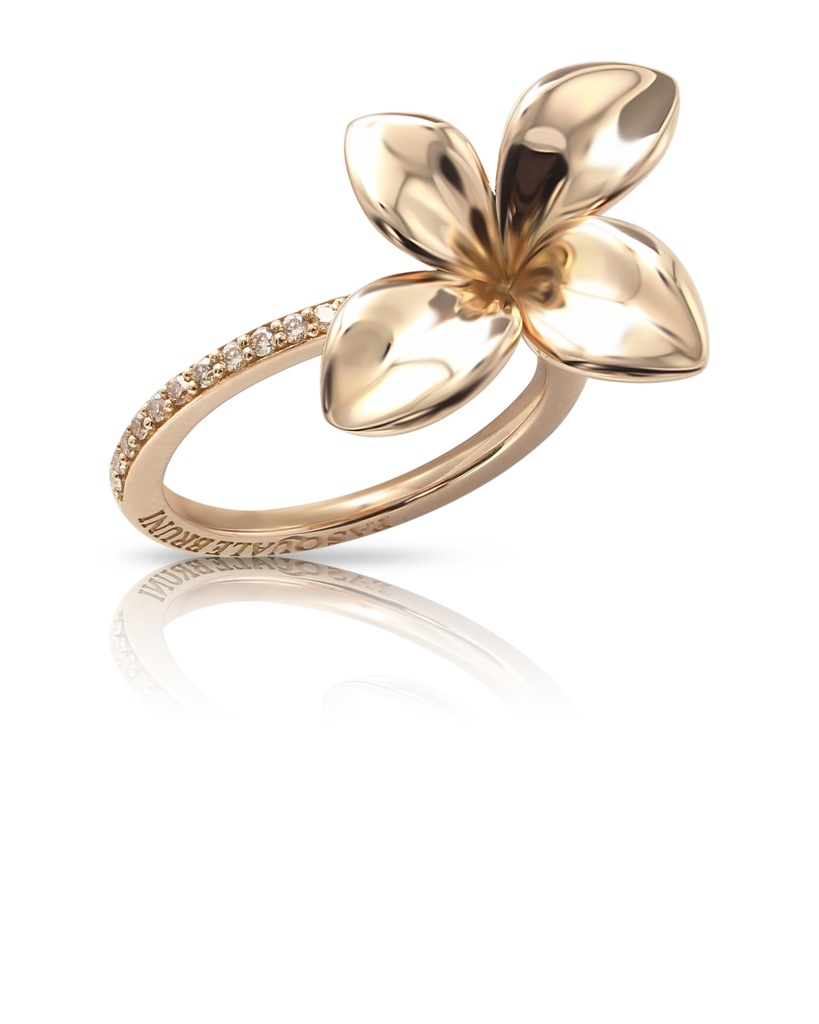 Petit Garden ring
