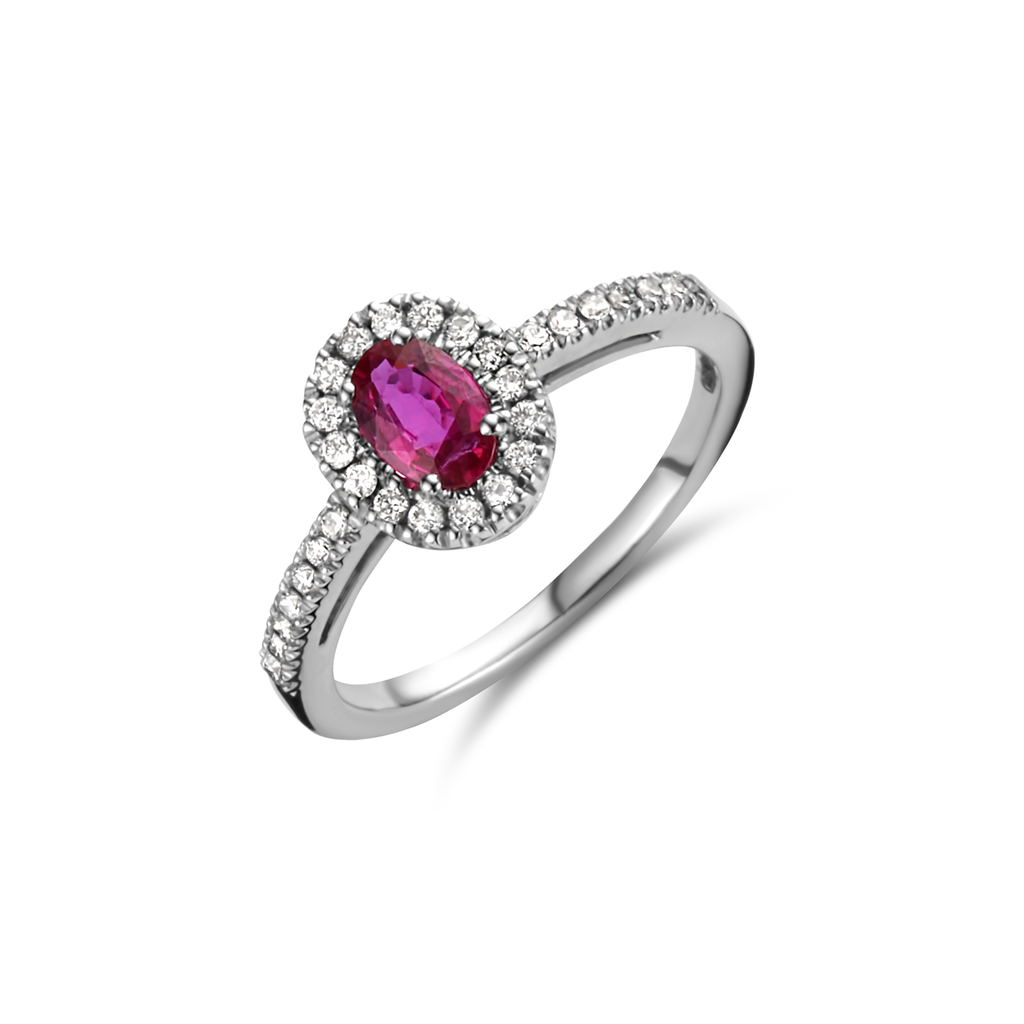 Entourage Ring with Ruby and Diamonds
