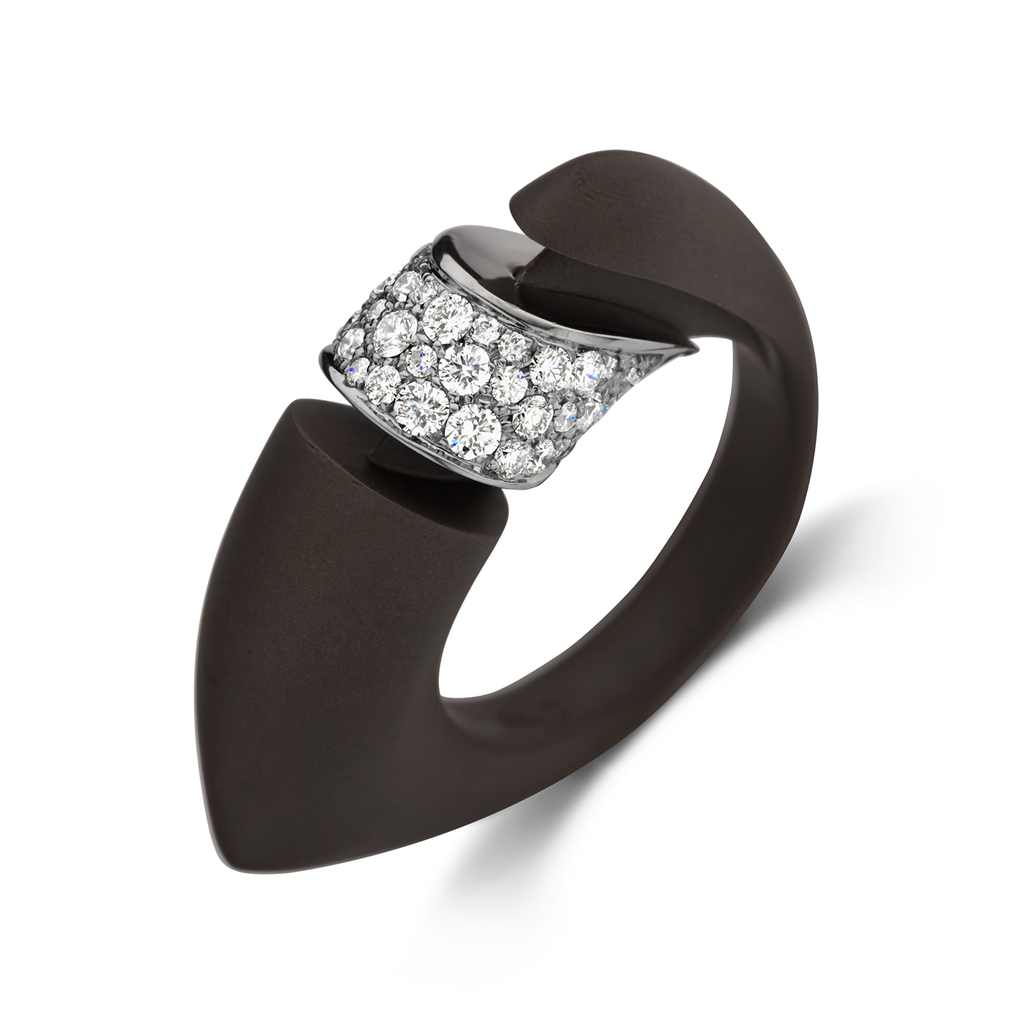 Titanium with White Gold and Diamonds