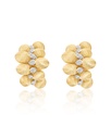 Trasformista earrings