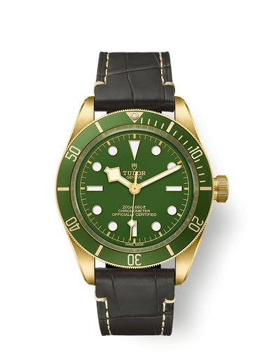 [M79018V-0001]  Tudor - Black Bay 58 18K