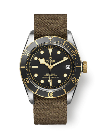 [M79733N-0005]  Tudor - Black Bay S&G
