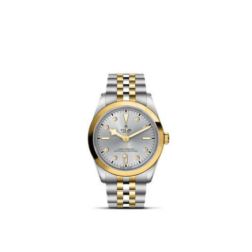 [M79643-0007]  Tudor - BLACK BAY 36 S&G ARGE IND 8RBR J-65553