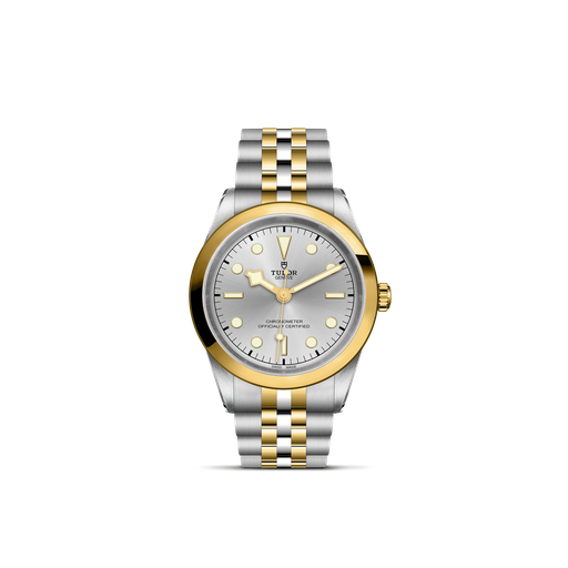 [M79683-0002 ]  Tudor - BLACK BAY 41 S&G