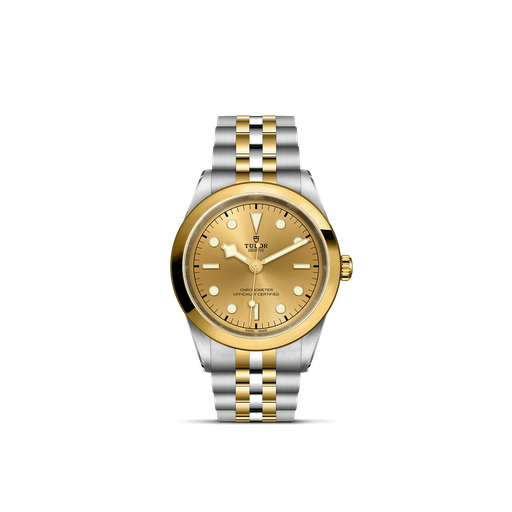 [M79683-0005]  Tudor - Black Bay 41 S&G