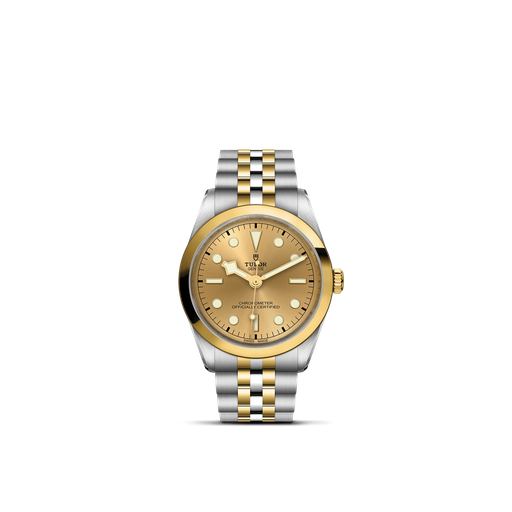 [M79643-0005]  Tudor - BLACK BAY 36 S&G