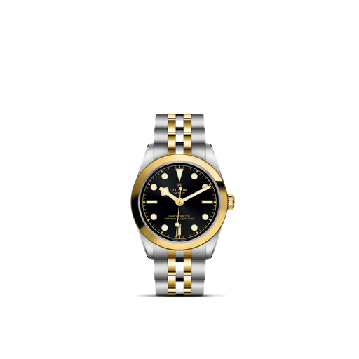 [M79603-0001]  Tudor - Black Bay 31 S&G