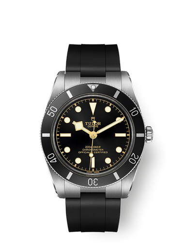 [M79000N-0002]  Tudor - Black Bay 54