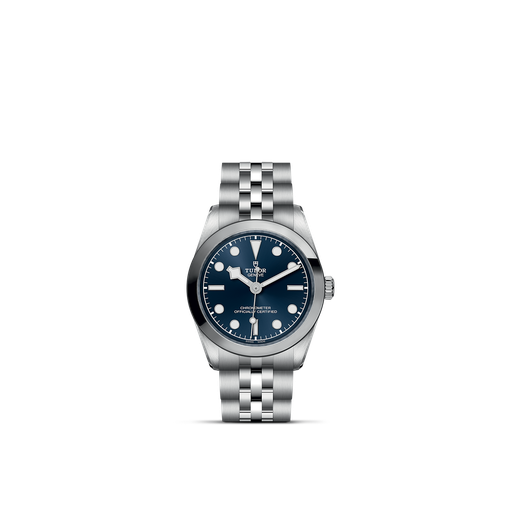 [M79600-0002]  Tudor - BLACK BAY 31