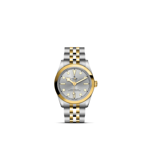 [M79603-0002]  Tudor - Black Bay 31 S&G