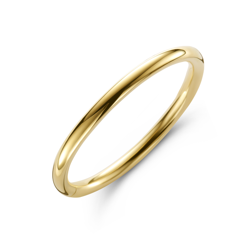 [7AG3993]  Bron - Bangle in Yellow Gold