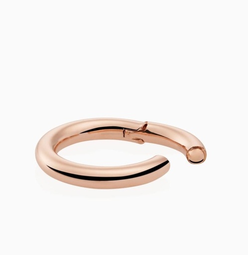 [8HR3423]  Bron - Pendant