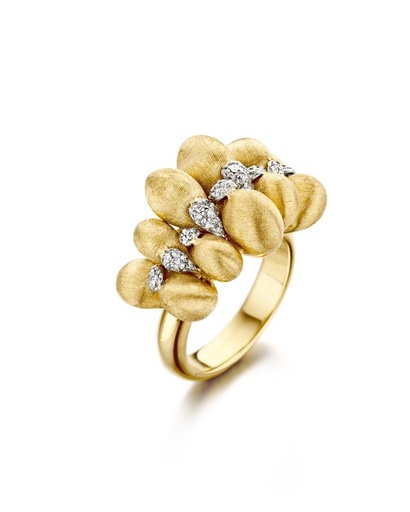  Nanis - Trasformista ring