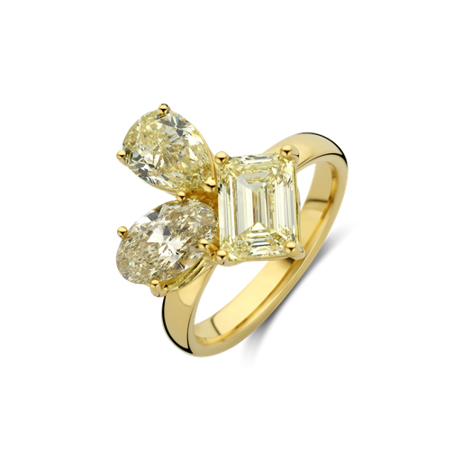 [JBS-HASBA-22117]  JBS - Multishape Fancy Diamond Ring