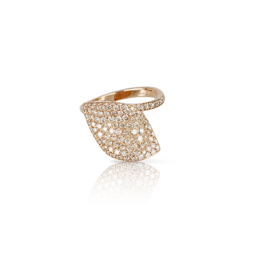  Pasquale Bruni - Aleluiá ring