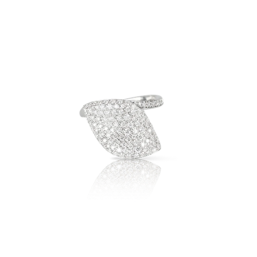  Pasquale Bruni - Aleluiá ring